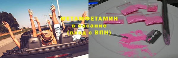 сатива Осташков