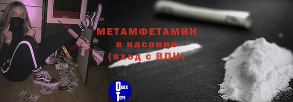 индика Няндома