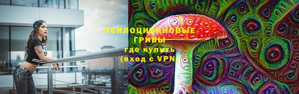 spice Нязепетровск